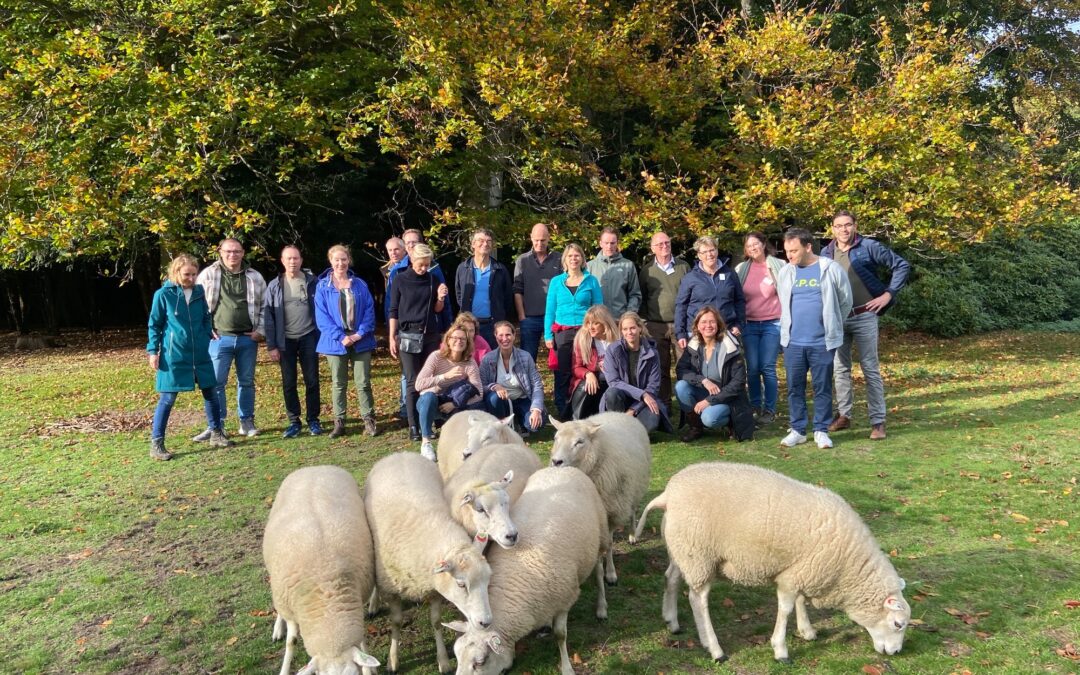 Fryslân Konferensje – Schapen drijven